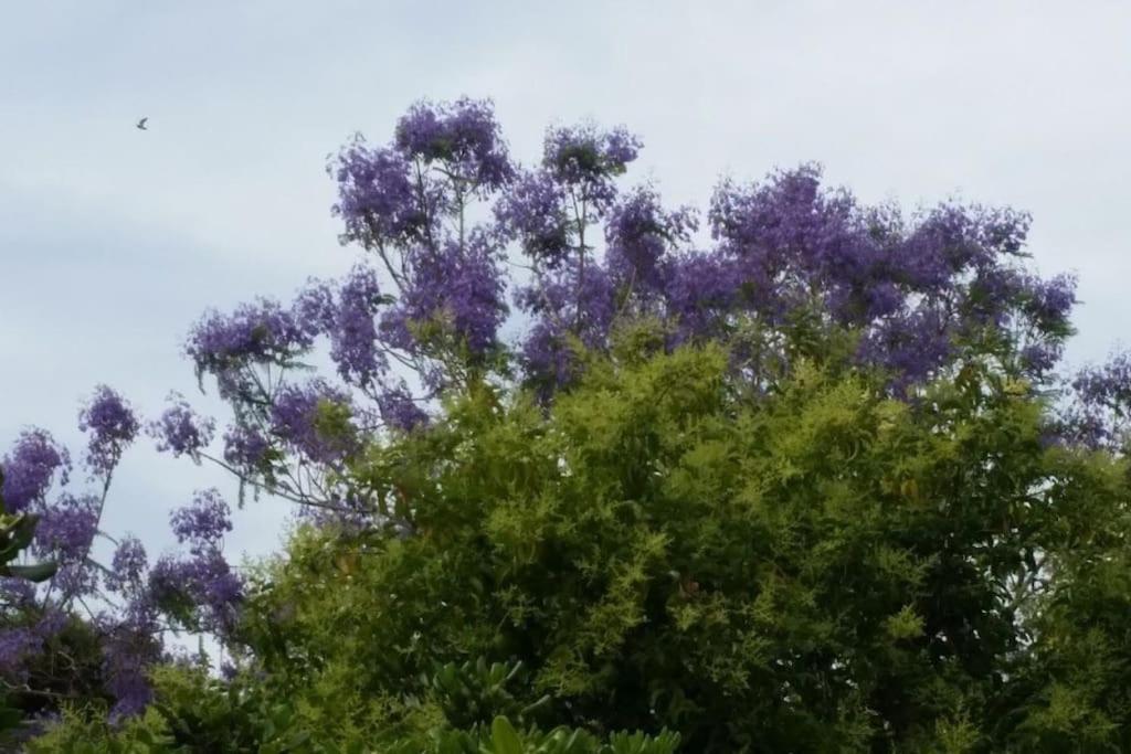 Casetta Jacaranda เจนัว ภายนอก รูปภาพ
